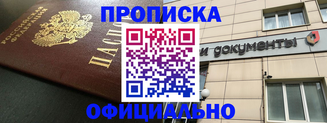 прописка 2026 в Дальнегорске